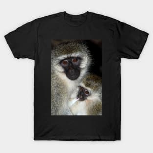 Primate - Black-faced Vervet Monkey, Kenya. T-Shirt